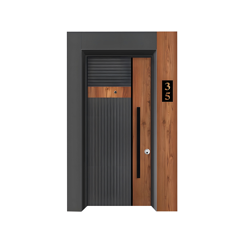 Cadre en acier gris Porte d’entrée simple de style modern