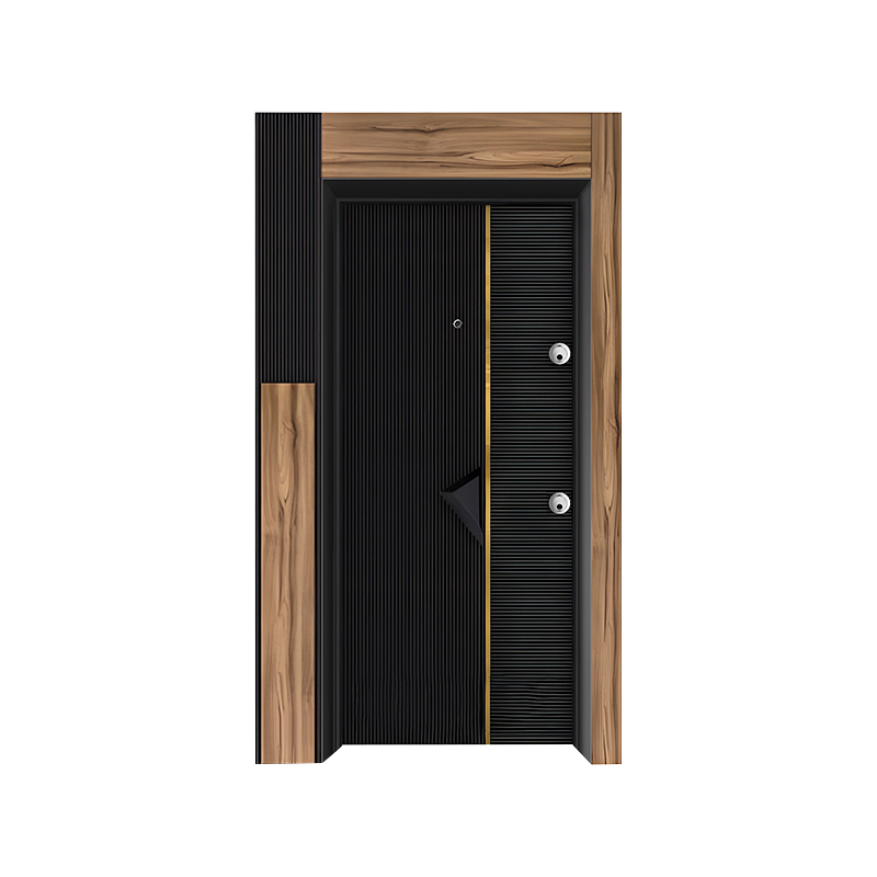 Cadre en acier noir Porte d’entrée simple de style moderne
