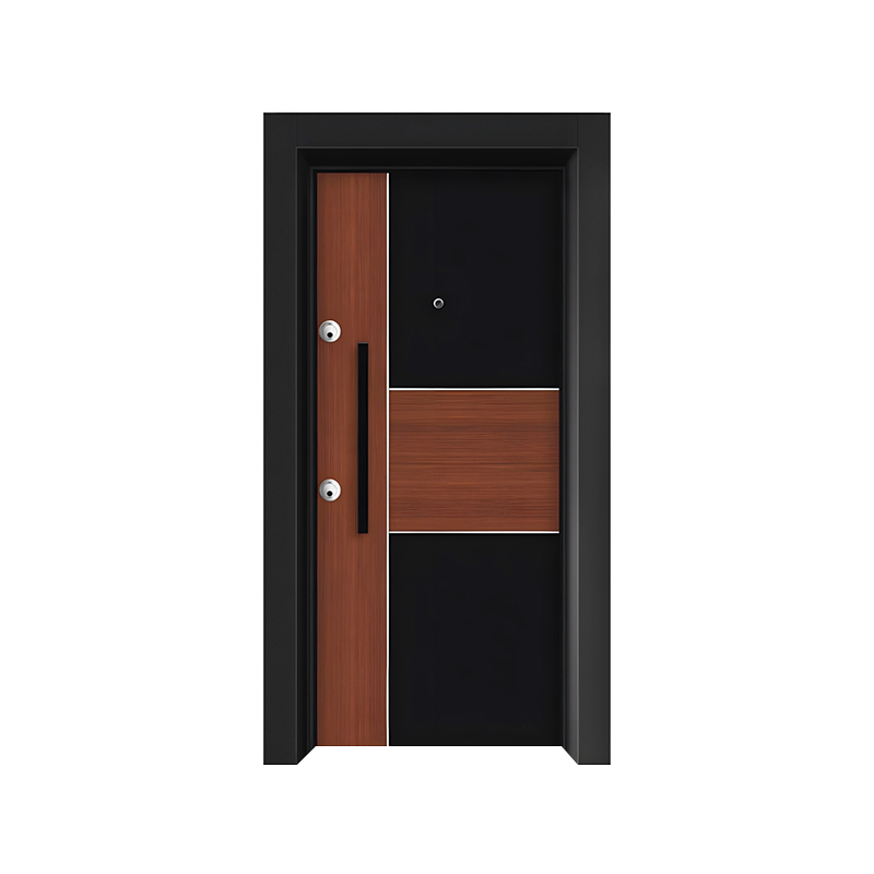 Crame en acier Porte d'entrée simple moderne