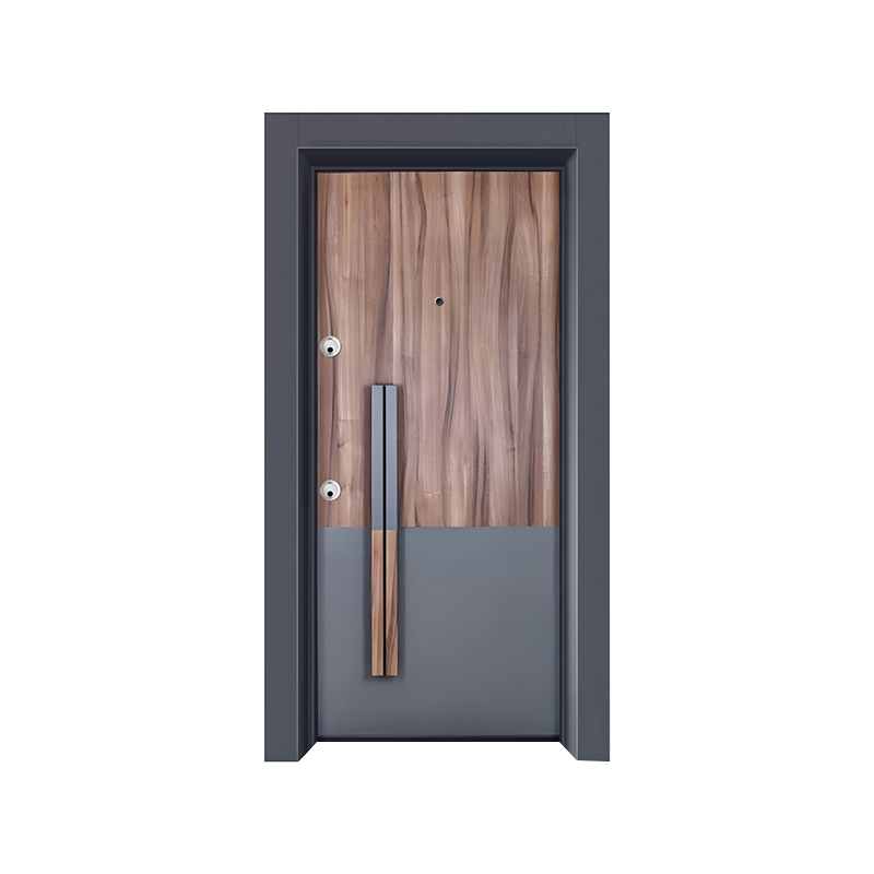 Porte unique de luxe léger moderne