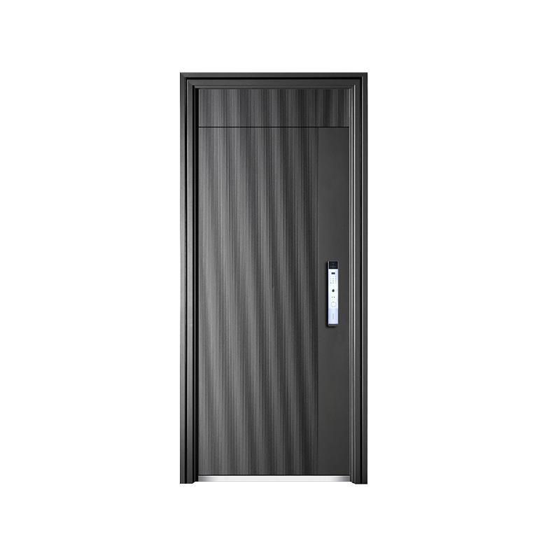 Porte d'entrée de luxe légère moderne
