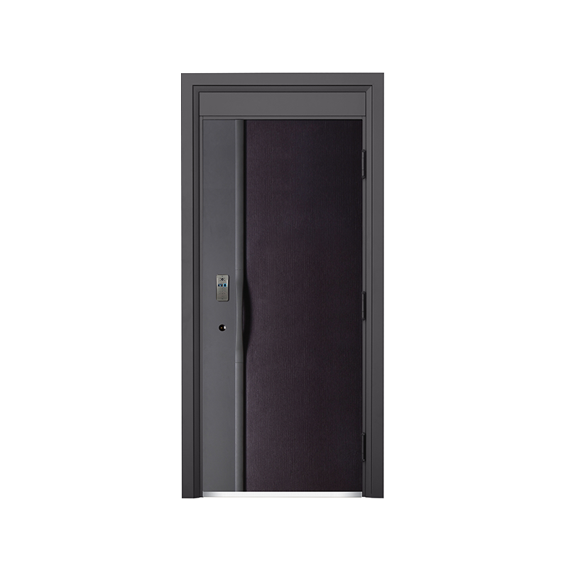 Porte d'entrée d'empreinte digitale de luxe léger moderne