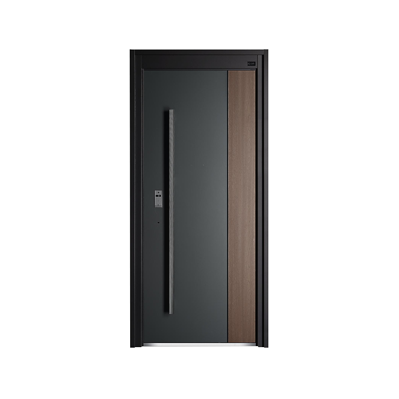 Porte battante de luxe simple modern