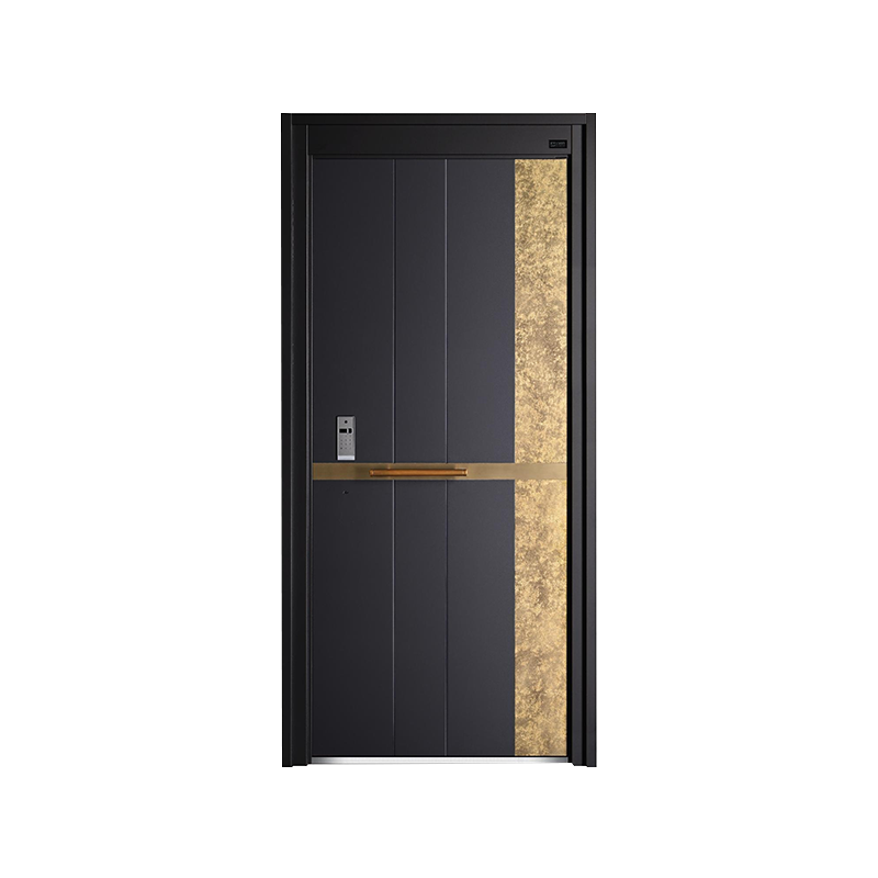 Porte d'entrée de luxe légère moderne