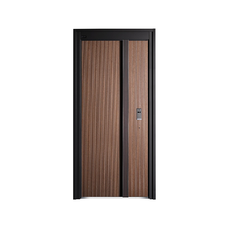 Porte d'entrée simple moderne