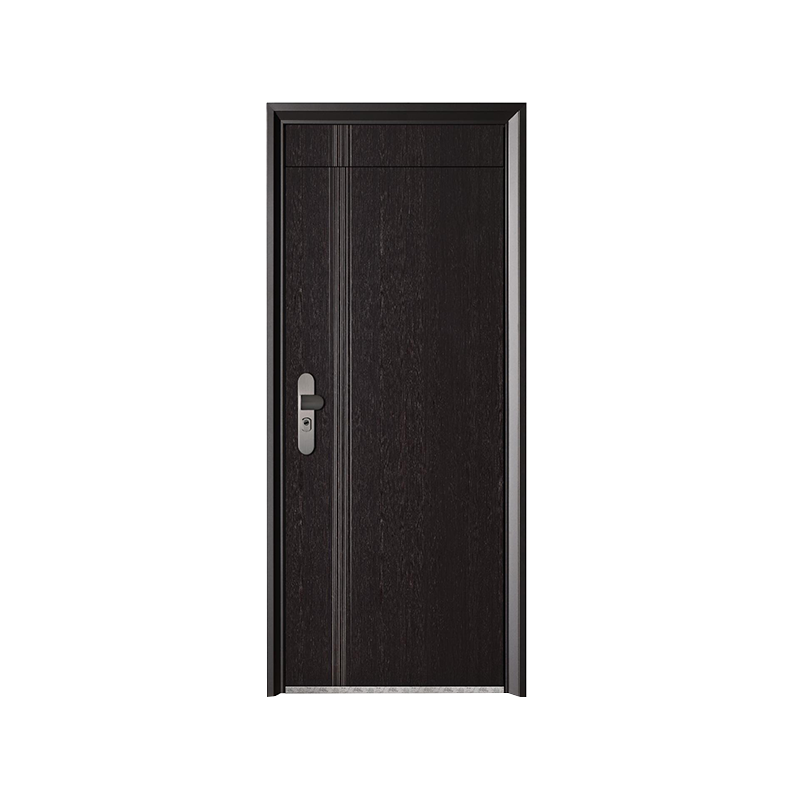 Porte d'entrée en aluminium de luxe léger