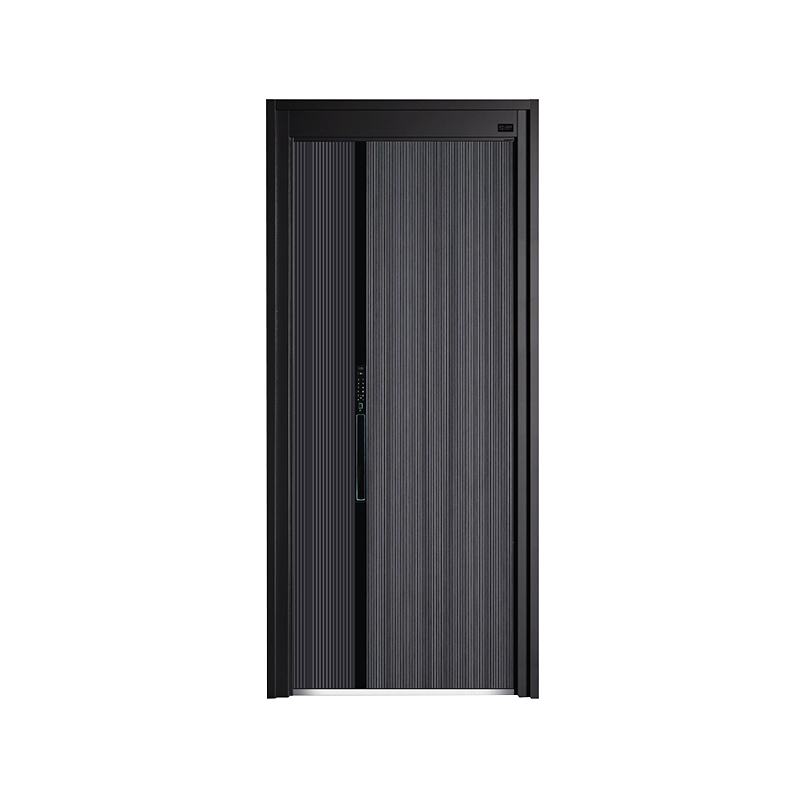 Porte d'entrée en aluminium de luxe léger moderne
