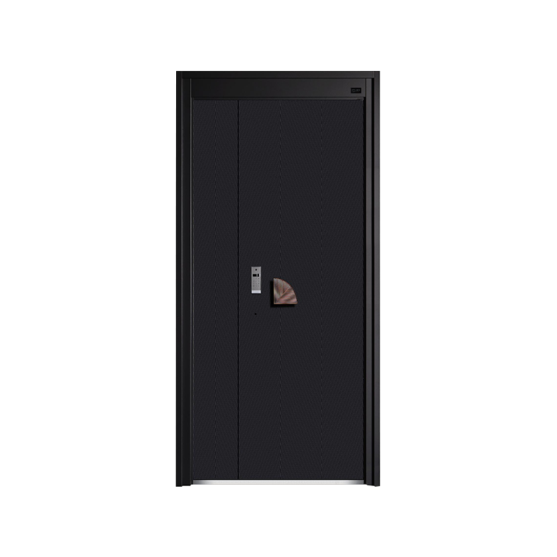 Accueil Porte d'entrée minimaliste