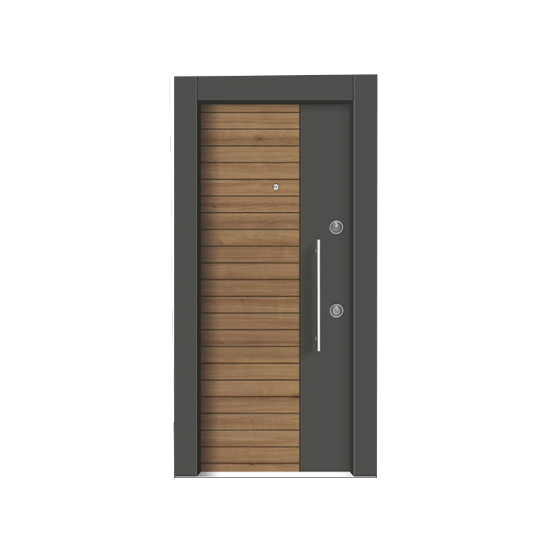 Porte d'entrée de la villa de luxe légère simple