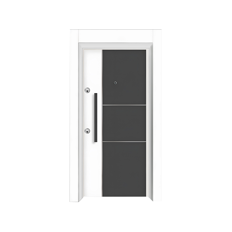 Porte de sécurité haut de gamme simple