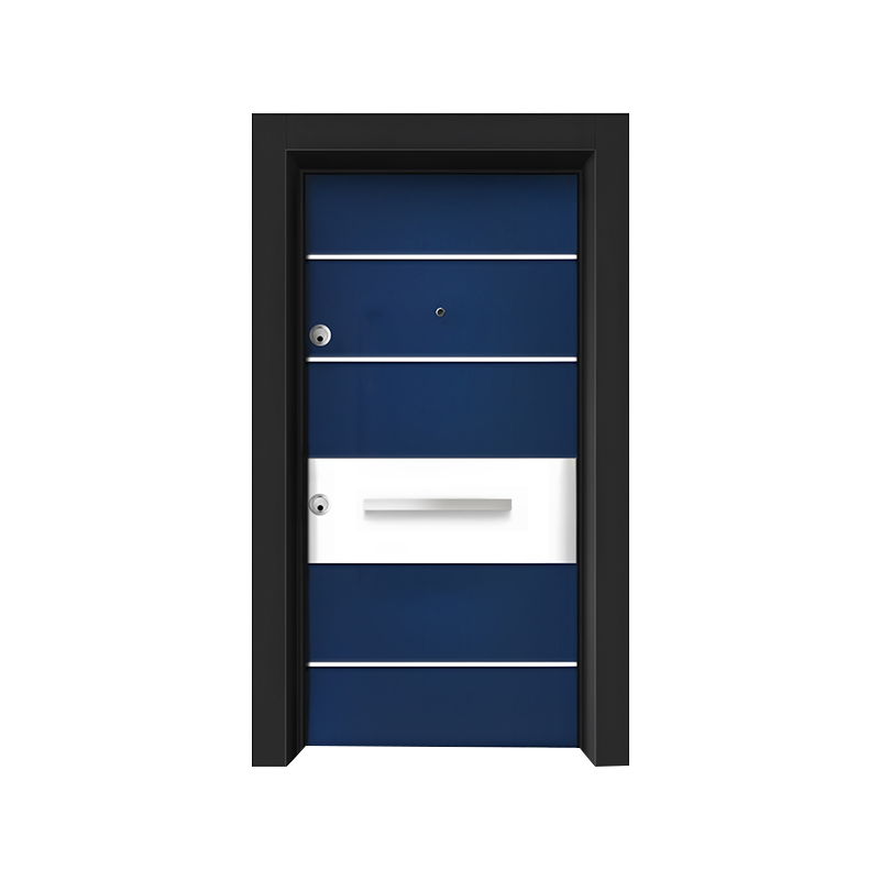 Porte en acier simple
